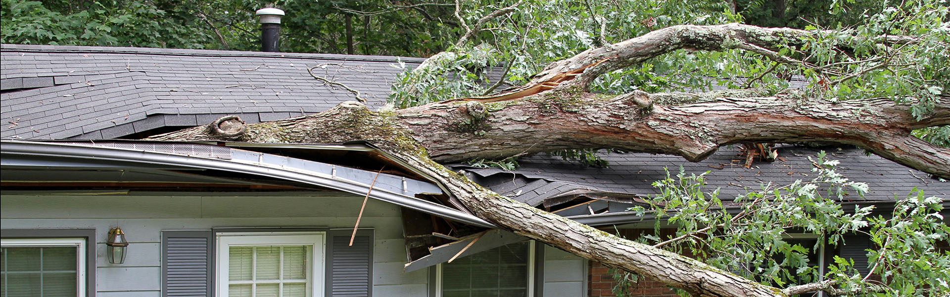 home renovation after natural disaster