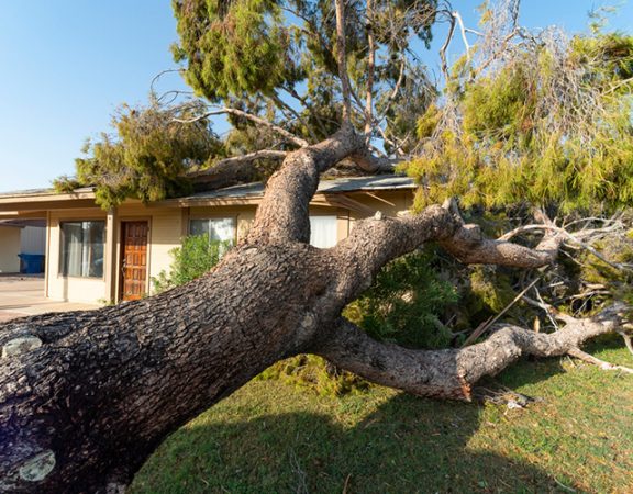 natural disasters in ontario