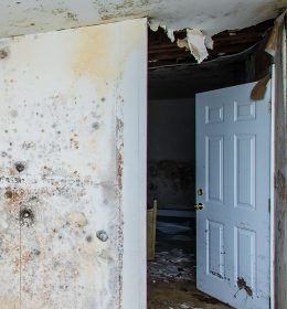 water damage renovation